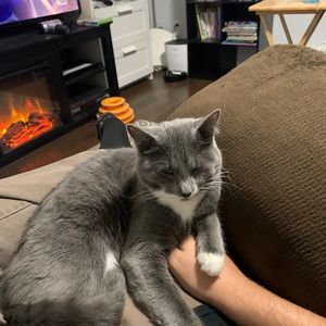 Meet your Posher, Scott